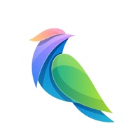 青鸟