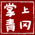 掌上青冈