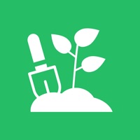 植观