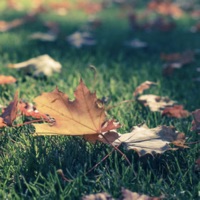 简记生活分享社区