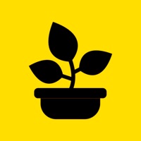 植物浇水提醒
