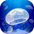 海蜇养成 vv1.16