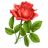 看图识字植物篇 vv1.16