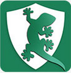 壁虎浏览器 vv2.11