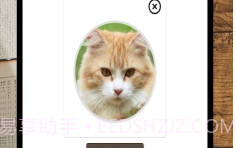 故事织机v6.31.8截图