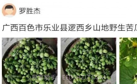 助农通v1.0.13截图