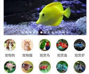 万物识别v2.1.56.6截图