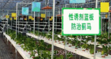 果蔬手册v1.0.9截图