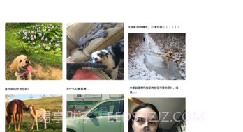 笑话段子v1.10截图