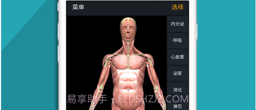 人体护理v1.9截图