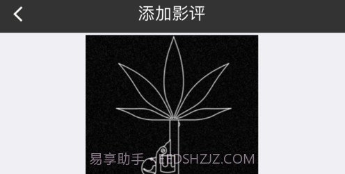 豌豆影评v1.13截图