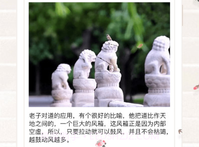 善信最新版v3.6.11截图