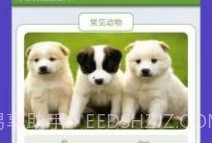 动物园首富v1.9截图