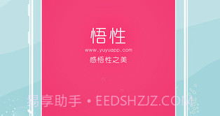 悟性v5.15截图