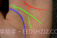 免费拍照看手相算命V1.0.8截图