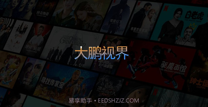 大鹏视界TVv3.0.6截图