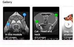 vet Anatomyv3.1.0v3.0.6截图