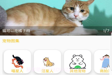 宠物小家v2.2.9截图
