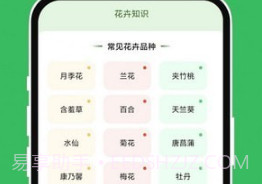 青沁睐匣子v1.0.12截图