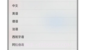 云岭翻译v1.2.11截图
