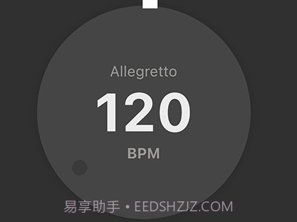 琵琶调音器PROv3.3.13截图