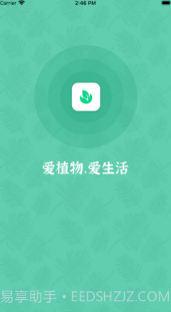 口袋绿植v1.12截图