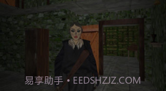 祖传房子的可怕奶奶v1.11截图