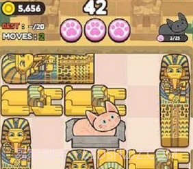推推猫push push catv0.9.14截图