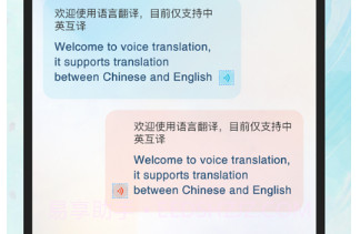 实时翻译官v1.0.10截图