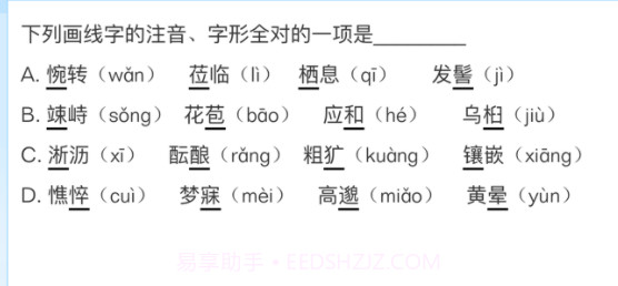智教365v1.12截图