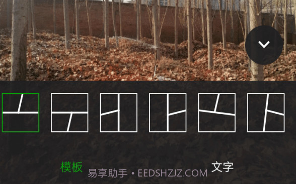 小葡萄v1.0.16截图