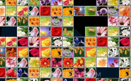 花花连连看v1.21截图