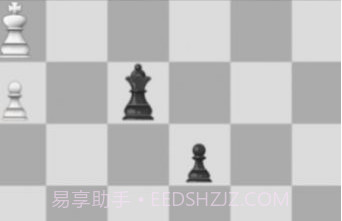 国际棋的狂热v9.11截图
