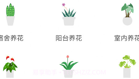 养花宝典v3.10截图