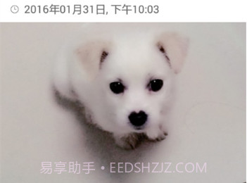 照片快享v2.4.7截图