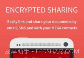 megav1.11截图