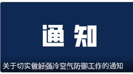 龙港在线v1.0.16截图