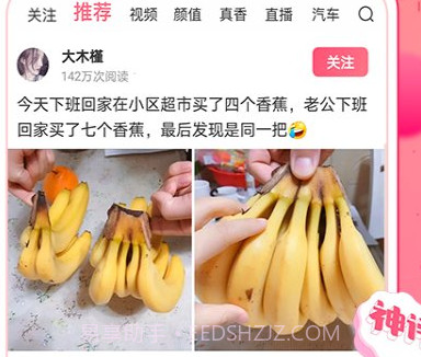 皮皮虾去水印v3.5.12截图