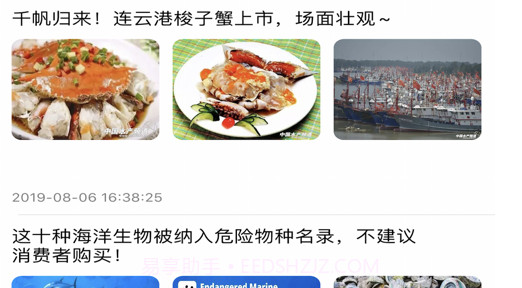 鱼多多船员v1.0.19截图
