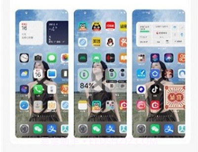 主题库pro安装包v9.10截图
