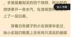 闪文小说v1.2.16截图