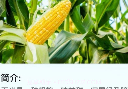 鹿量指指田园v1.0.13截图