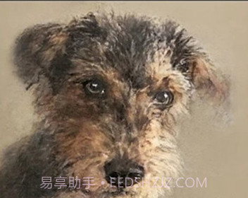 ReDra绘画w AIv1.1.12截图