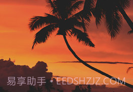 照片水印v 2.31.18截图