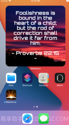 Biblev5.3.15截图