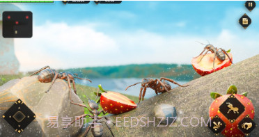 虫子世界大作战v9.12截图