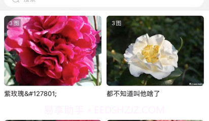 陌上v1.0.14截图