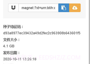 无极磁链搜索v1.13截图