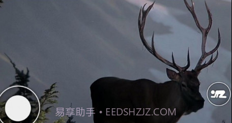 恐怖森林猎人v1.11截图