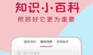小猫翻译器v1.0.19截图